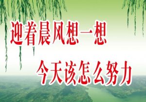 one体育:哪里有珠宝鉴定(珠宝鉴定中心有哪些)